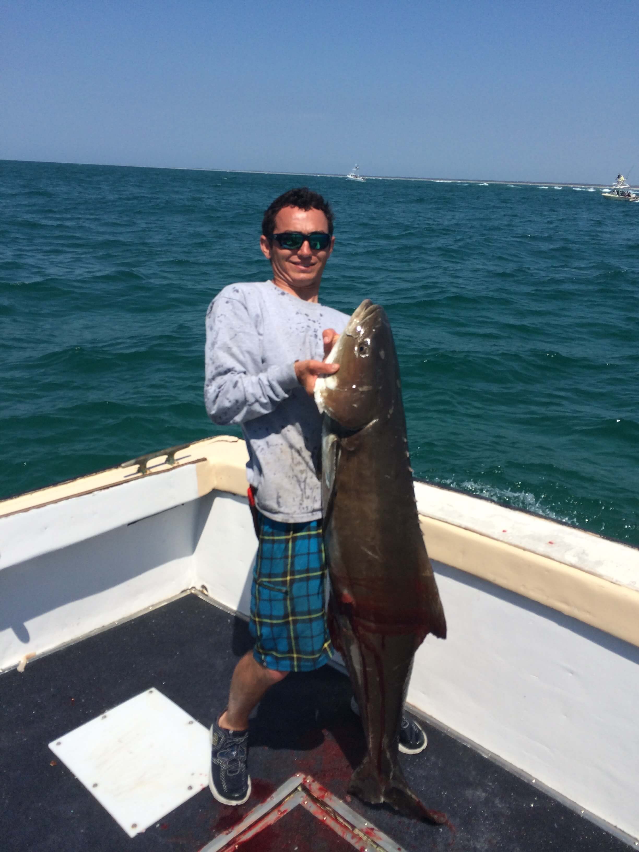 Cobia Regulations Continue 