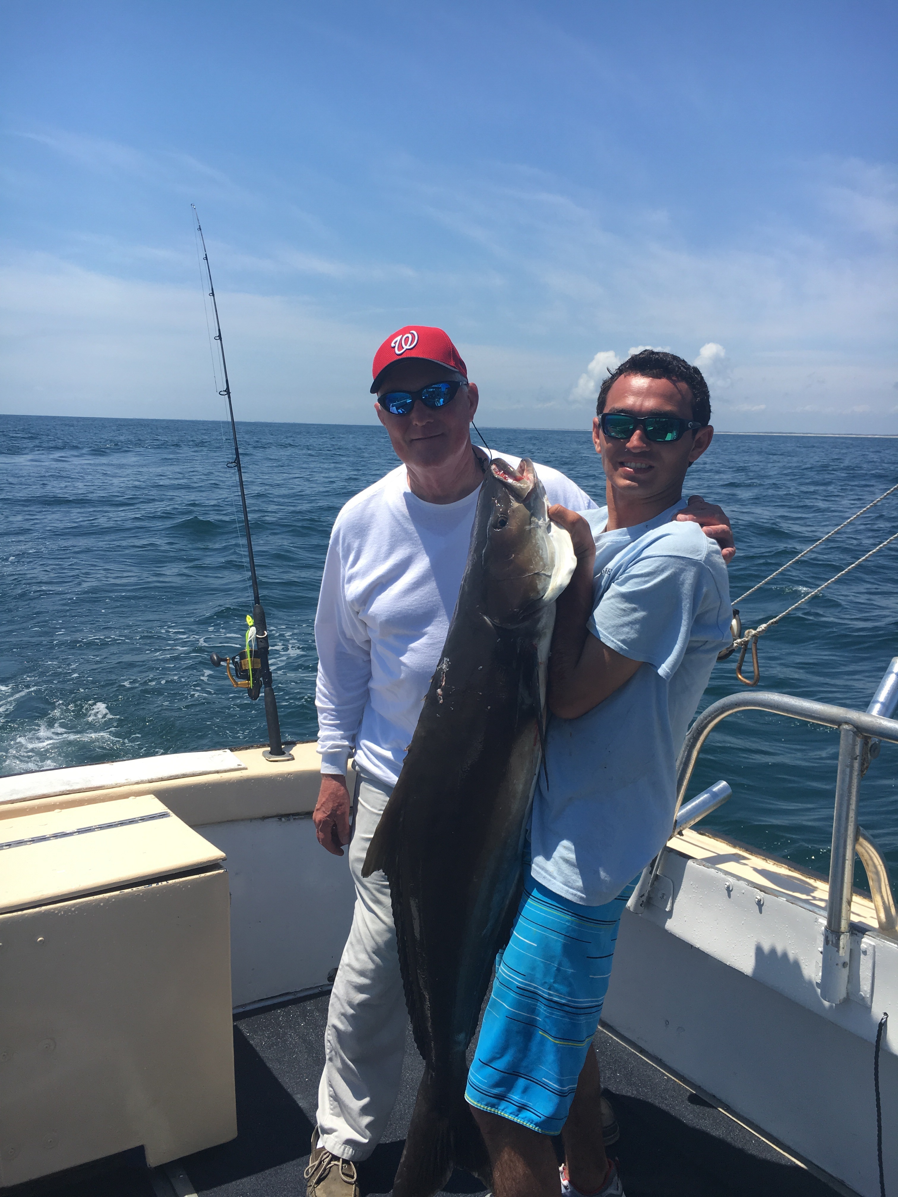 Elusive Cobia