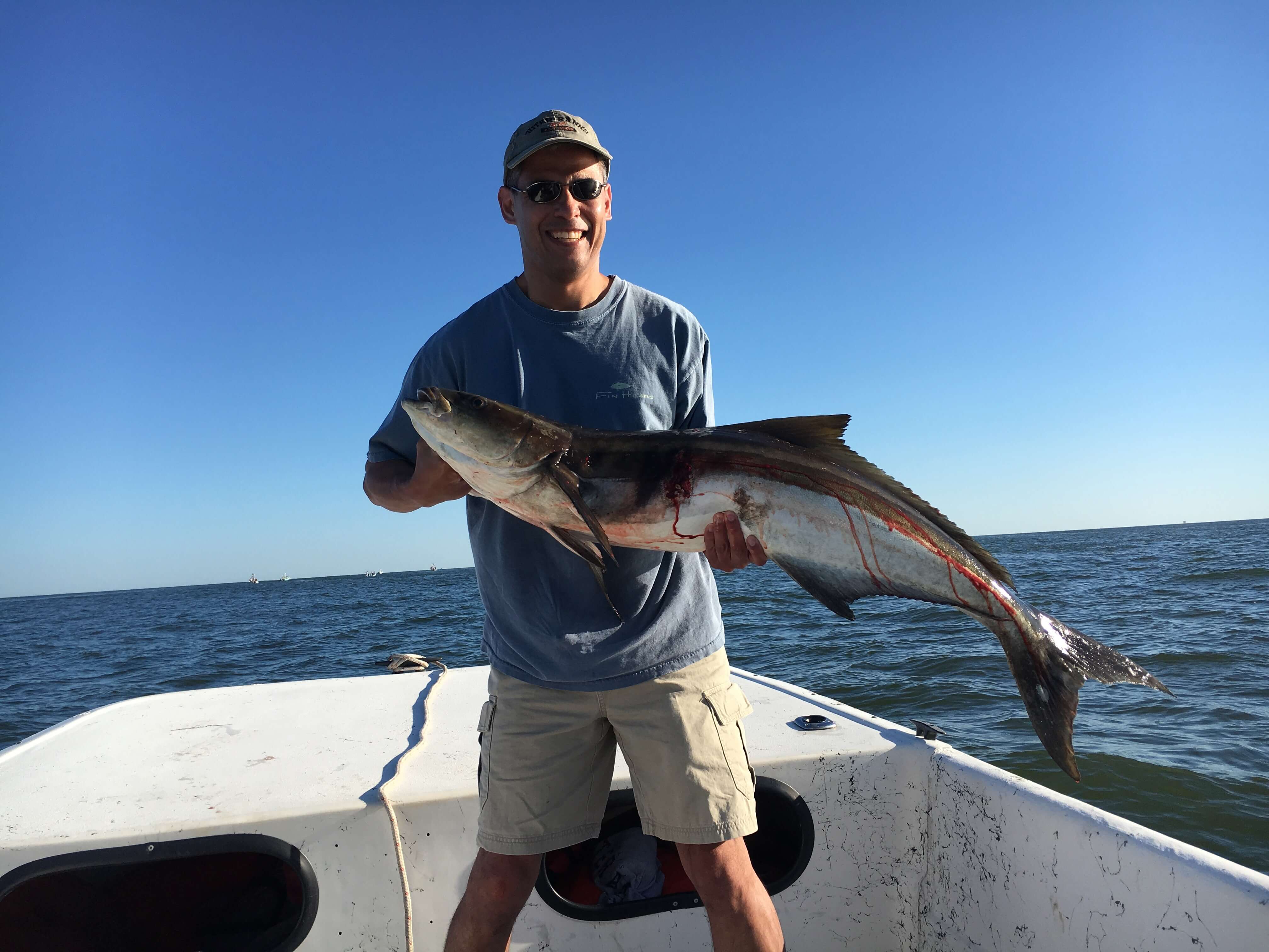 Cobia