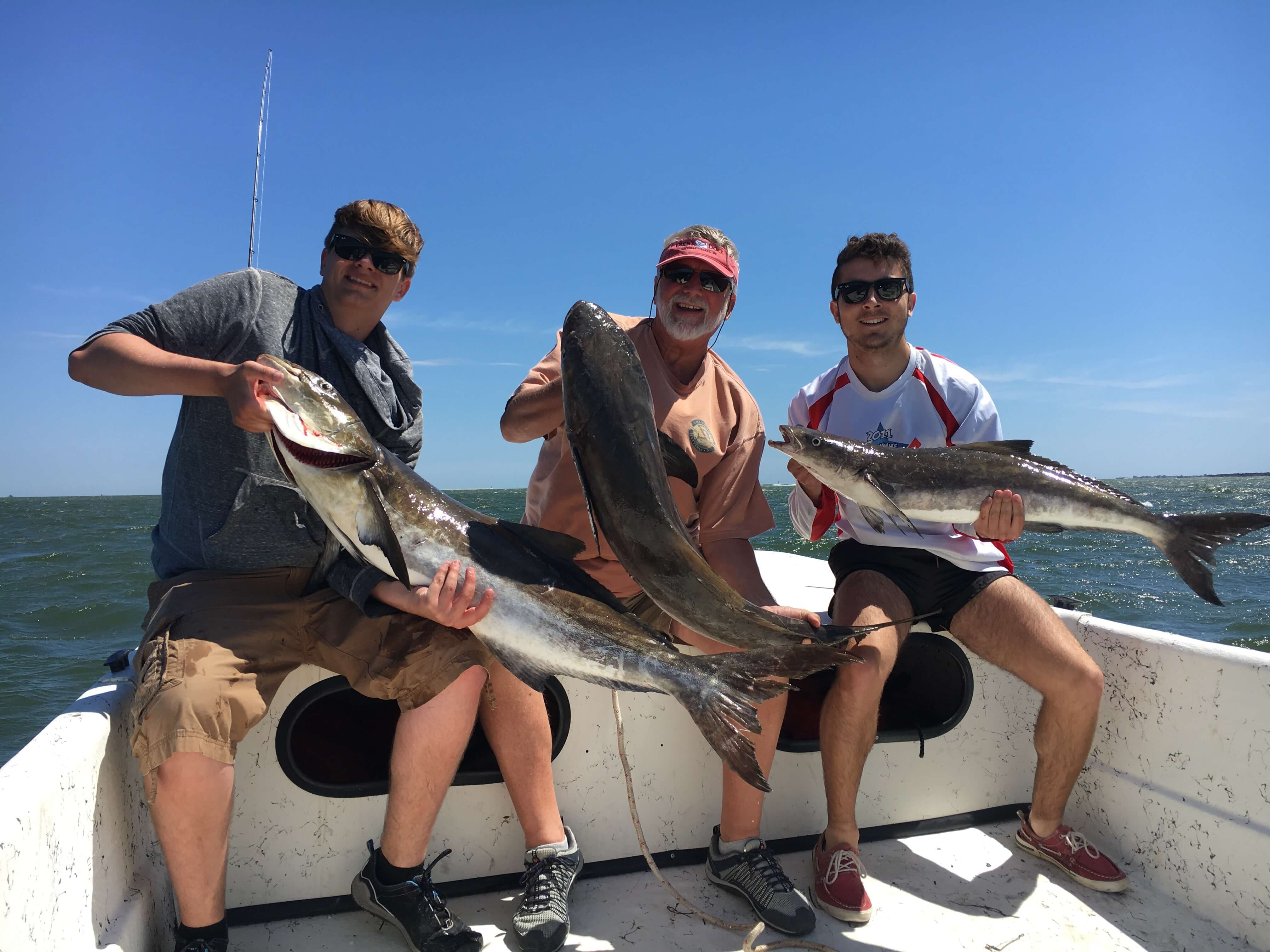 Cobia, Cobia, and Cobia 