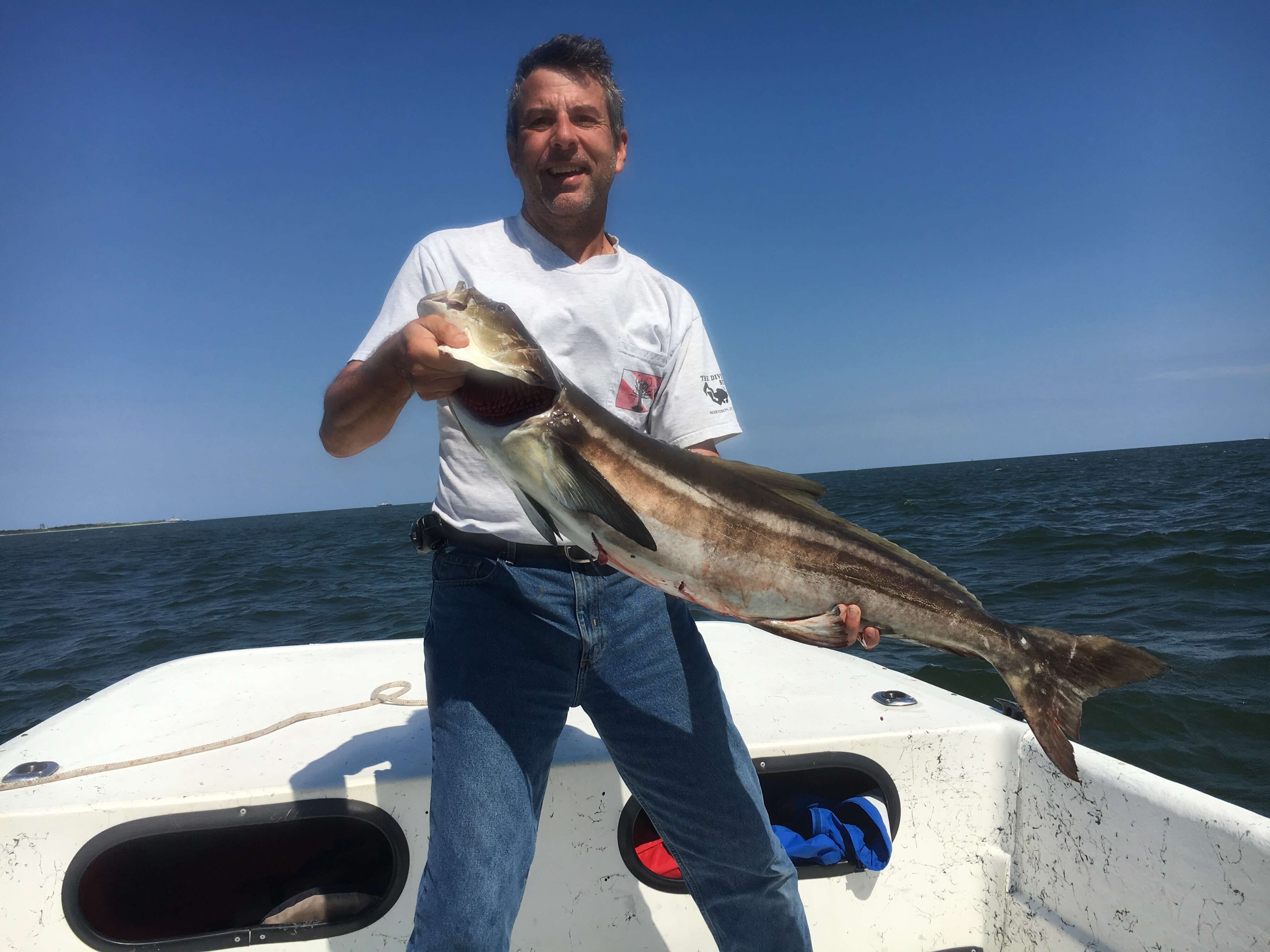 More Cobia 