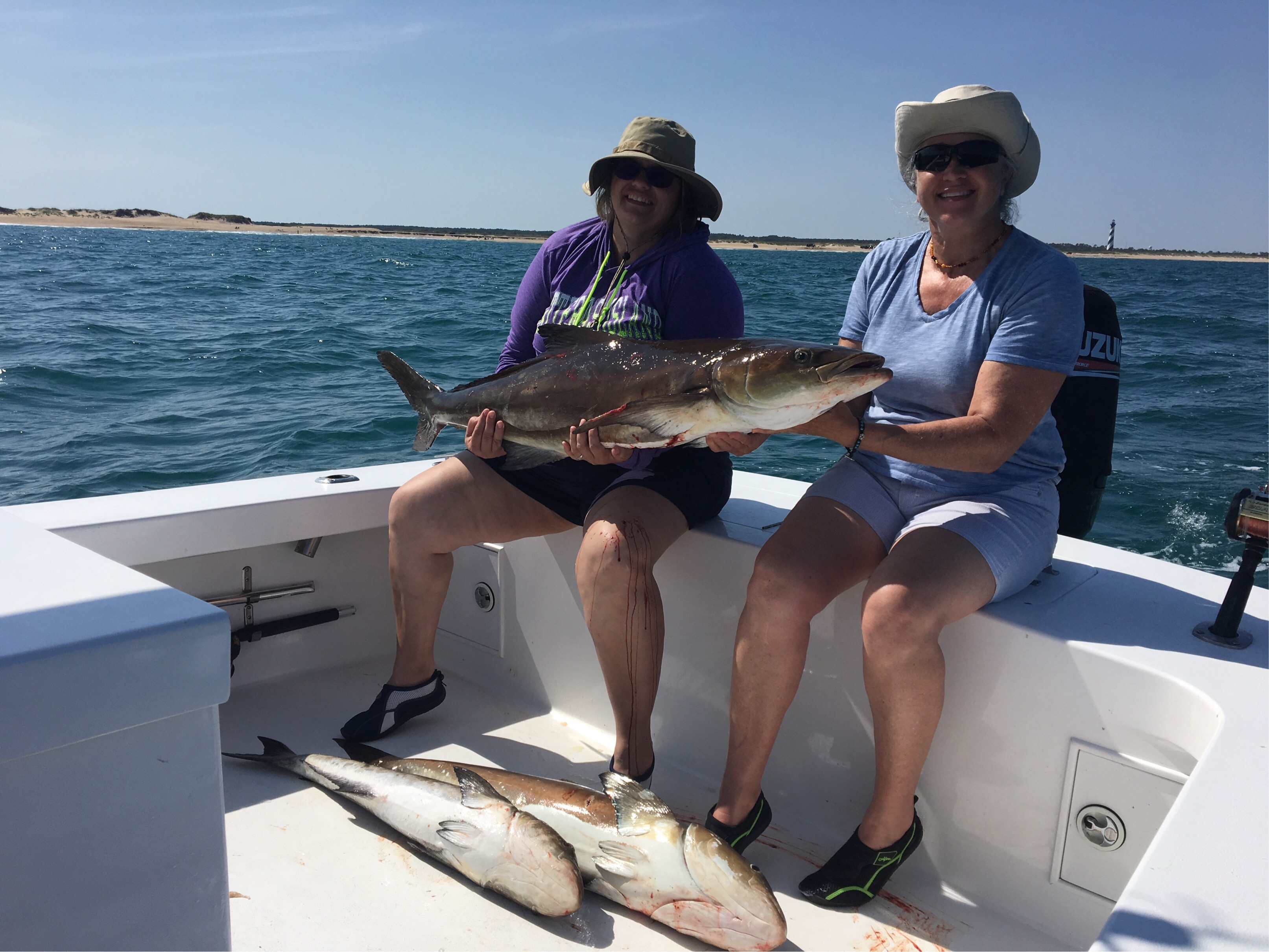 Cobia Madness