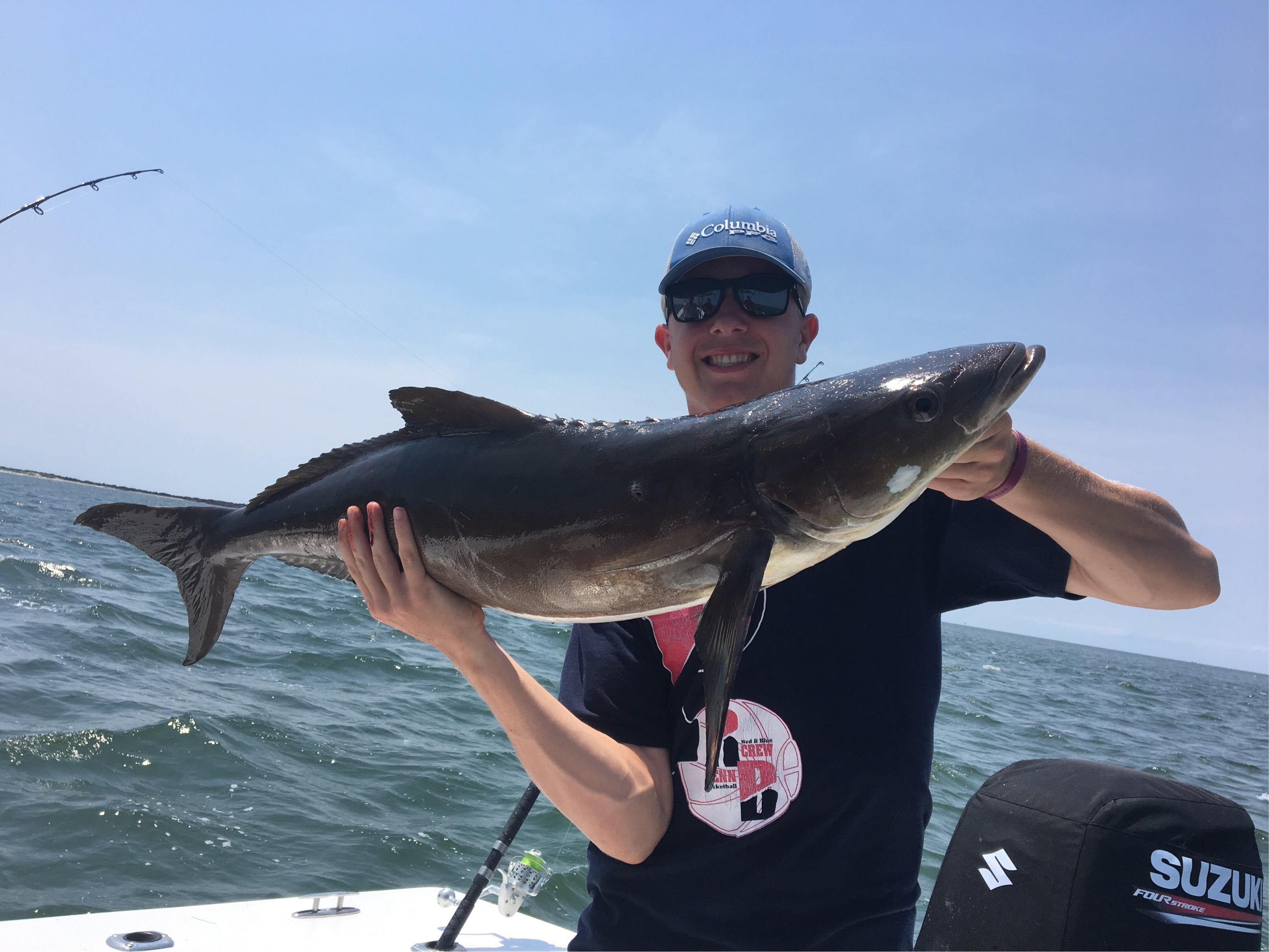 Cobia 